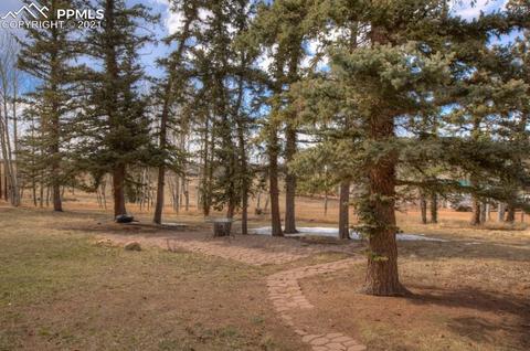 49 Minstrel Dr, Divide, CO 80814 photo 12