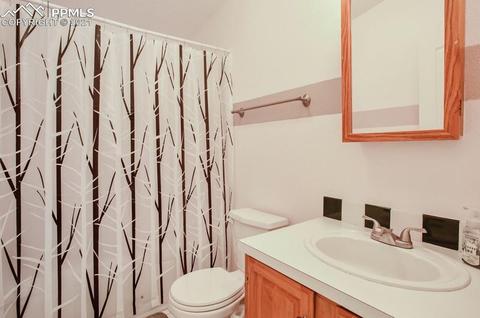 49 Minstrel Dr, Divide, CO 80814 photo 31