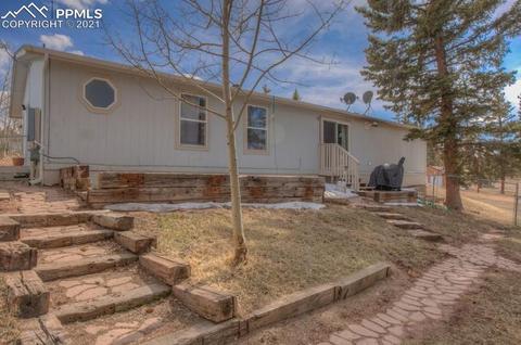 49 Minstrel Dr, Divide, CO 80814 photo 5