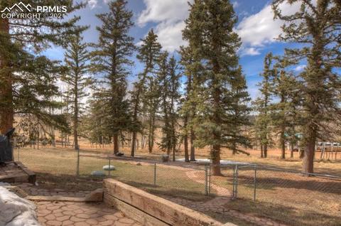 49 Minstrel Dr, Divide, CO 80814 photo 10
