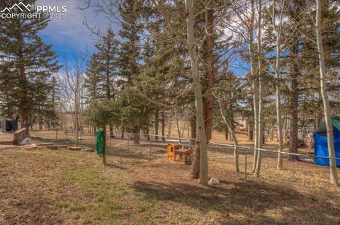 49 Minstrel Dr, Divide, CO 80814 photo 9