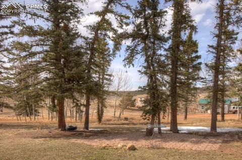 49 Minstrel Dr, Divide, CO 80814 photo 7