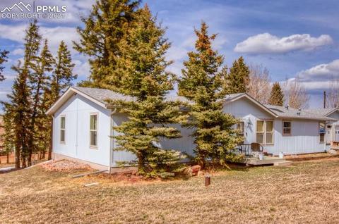 49 Minstrel Dr, Divide, CO 80814 photo 3