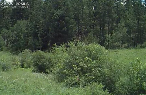 3184 County Road 33, Florissant, CO 80816