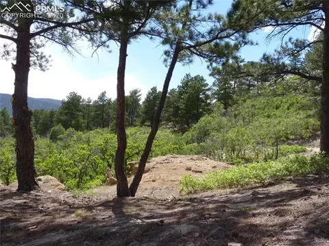 3250 Hamal Cir, Monument, CO 80132 photo 5