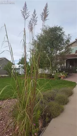 7720 Midnight Rd, Peyton, CO 80831 photo 16