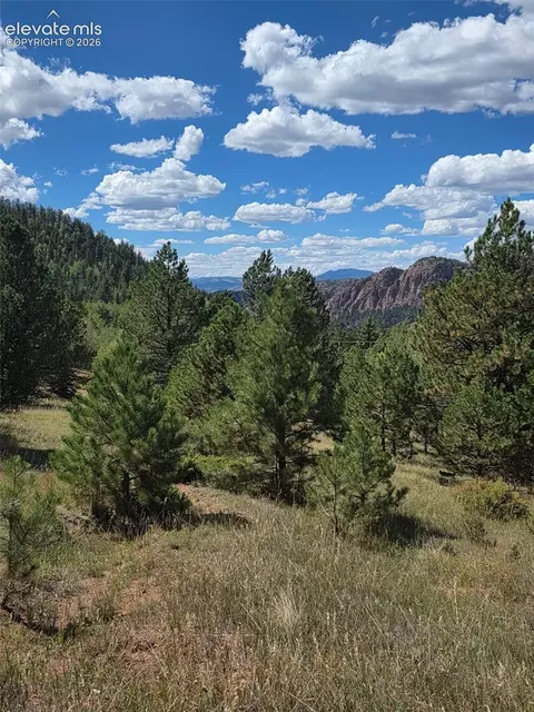 181 Troy Dr, Cripple Creek, CO 80813