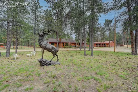 20355 Teacup Grv, Peyton, CO 80831 photo 1