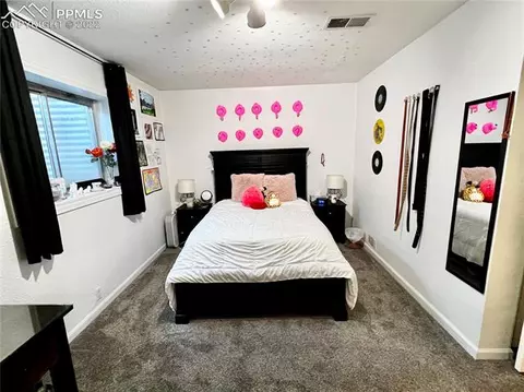 601 Dakota Ave, Simla, CO 80835 photo 10