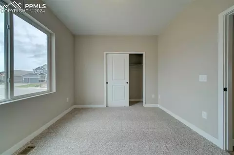 892 Naismith Ln, Monument, CO 80132 photo 21