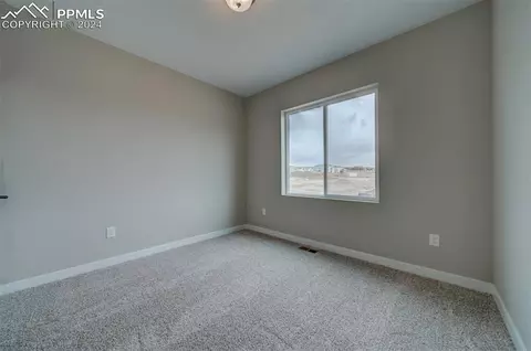 892 Naismith Ln, Monument, CO 80132 photo 24
