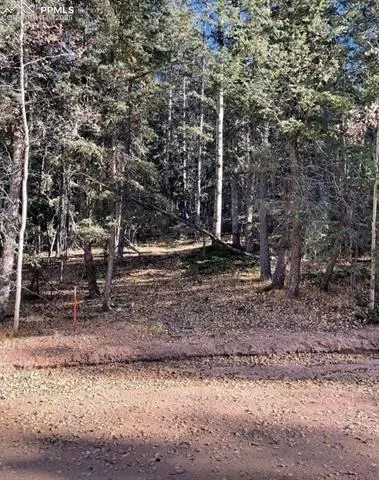 222 Banner Trl, Florissant, CO 80816