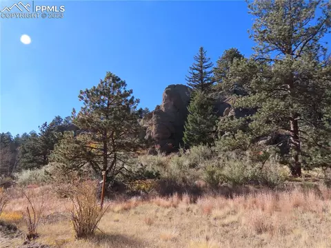 1115 Box Canyon Dr, Florissant, CO 80816