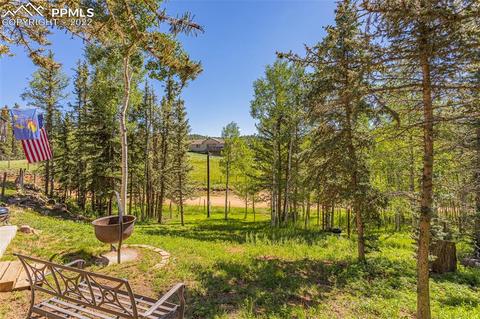 1589 Spring Valley Dr, Divide, CO 80814 photo 36