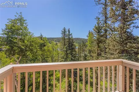 1589 Spring Valley Dr, Divide, CO 80814 photo 9