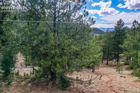 395 Wabash Ter, Cripple Creek, CO 80813
