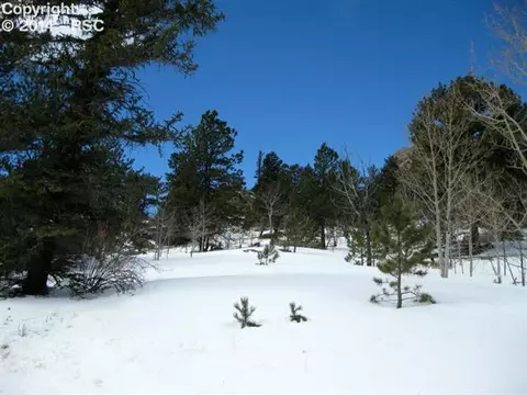 31 Apache Path, Lake George, CO 80827 photo 10