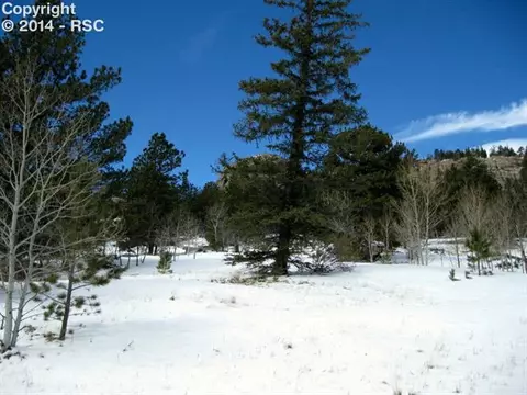 31 Apache Path, Lake George, CO 80827 photo 5