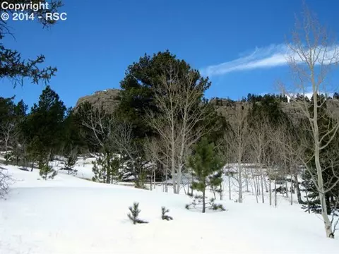31 Apache Path, Lake George, CO 80827 photo 13