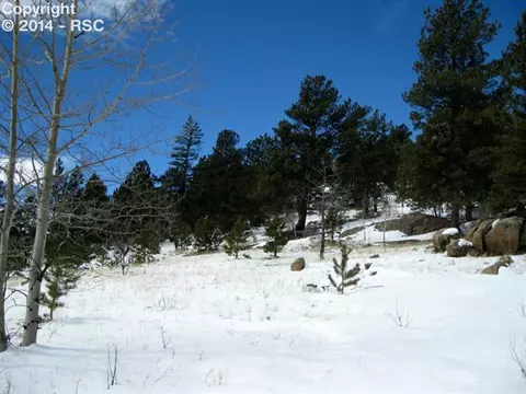 31 Apache Path, Lake George, CO 80827 photo 2