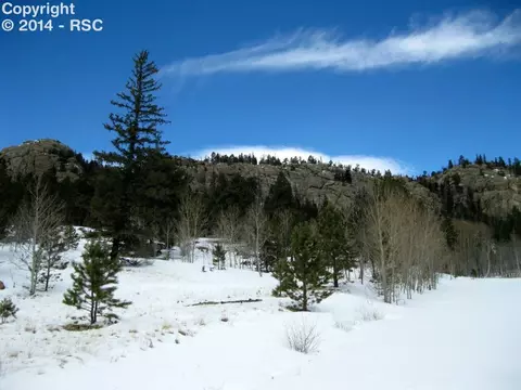 31 Apache Path, Lake George, CO 80827 photo 1