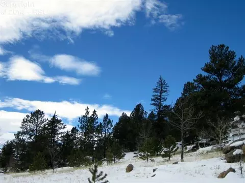 31 Apache Path, Lake George, CO 80827 photo 14