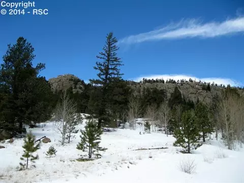 31 Apache Path, Lake George, CO 80827 photo 16