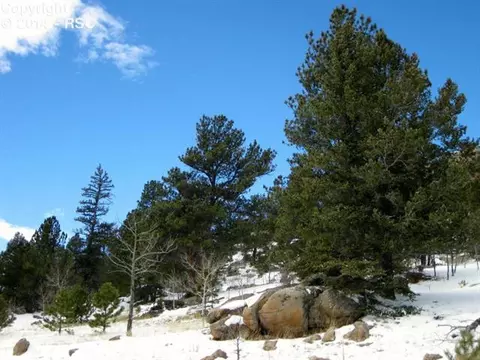 31 Apache Path, Lake George, CO 80827 photo 15