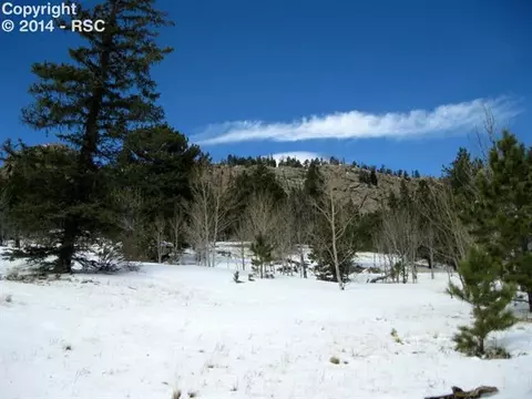 31 Apache Path, Lake George, CO 80827 photo 6