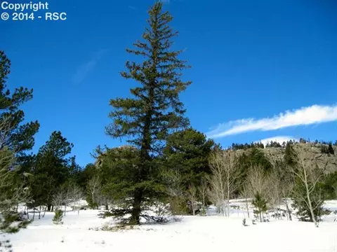 31 Apache Path, Lake George, CO 80827 photo 8