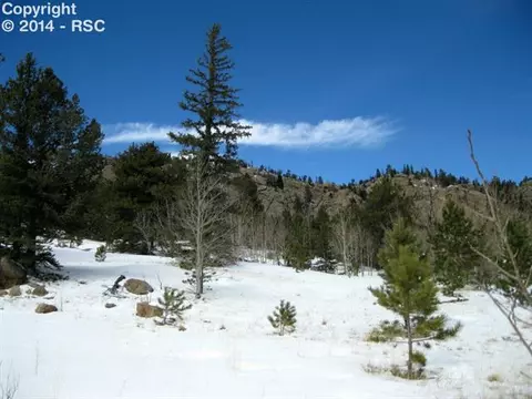 31 Apache Path, Lake George, CO 80827 photo 4