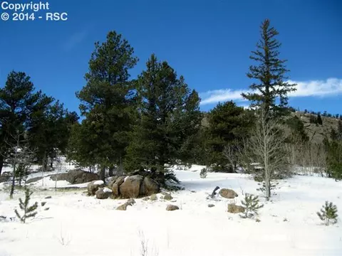31 Apache Path, Lake George, CO 80827 photo 3