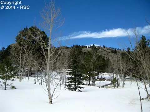31 Apache Path, Lake George, CO 80827 photo 11