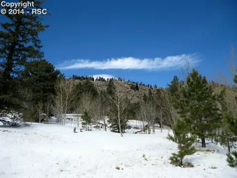 31 Apache Path, Lake George, CO 80827 photo 7