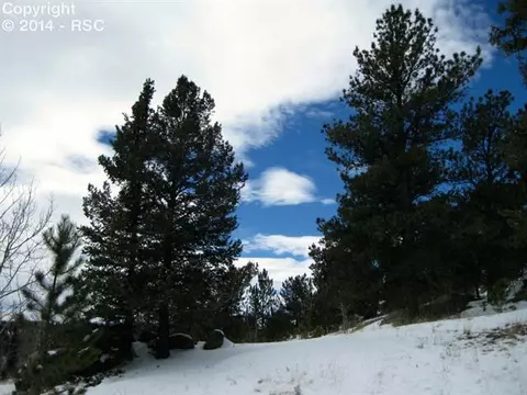 31 Apache Path, Lake George, CO 80827 photo 12