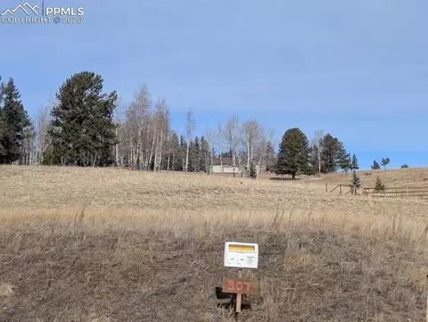 307 Pinaceae Hts, Divide, CO 80814