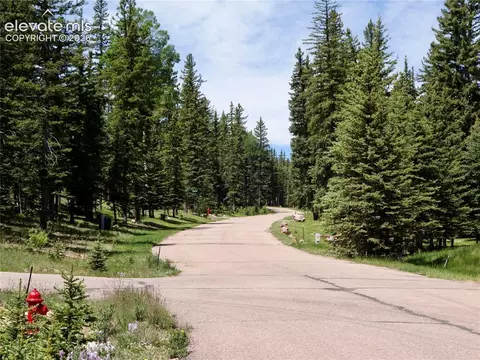 307 Pinaceae Hts, Divide, CO 80814 photo 7