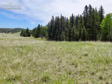307 Pinaceae Hts, Divide, CO 80814 photo 4
