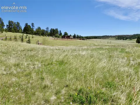 307 Pinaceae Hts, Divide, CO 80814 photo 3