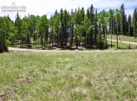 307 Pinaceae Hts, Divide, CO 80814 photo 5