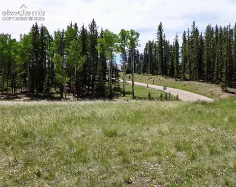 307 Pinaceae Hts, Divide, CO 80814 photo 6