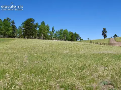307 Pinaceae Hts, Divide, CO 80814