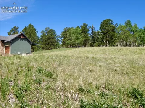 307 Pinaceae Hts, Divide, CO 80814 photo 2