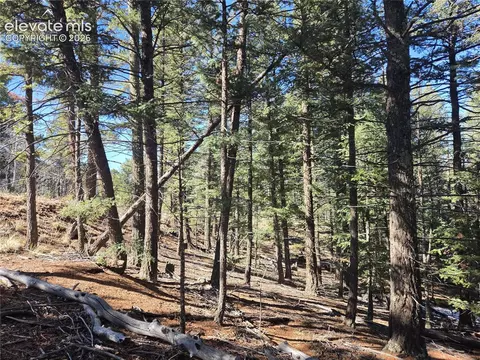 27 Midday Pl, Cripple Creek, CO 80813