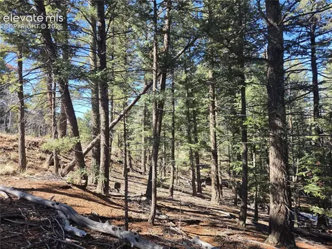 27 Midday Pl, Cripple Creek, CO 80813