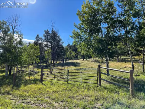 Homestake Place, Florissant, CO 80816