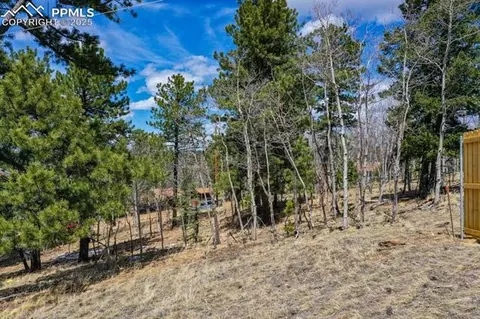 870 Will Scarlet Dr, Divide, CO 80814 photo 12