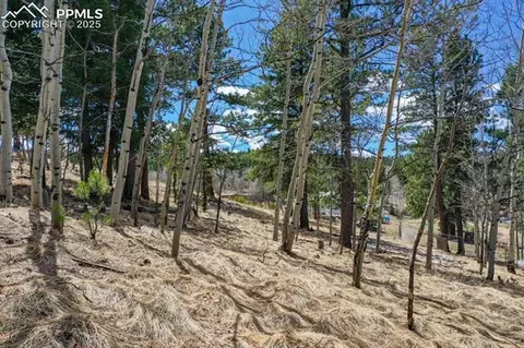870 Will Scarlet Dr, Divide, CO 80814 photo 10