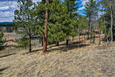 870 Will Scarlet Dr, Divide, CO 80814