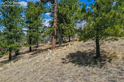 870 Will Scarlet Dr, Divide, CO 80814 photo 6